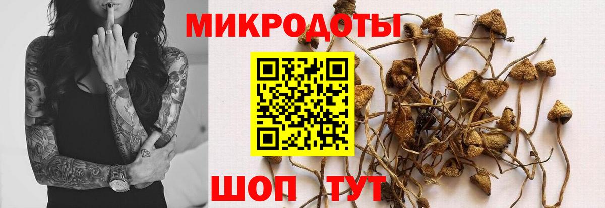 Галлюциногенные грибы GOLDEN TEACHER  Псилоцибиновые грибы Magic Shrooms  Великие Луки  Вход с VPN 