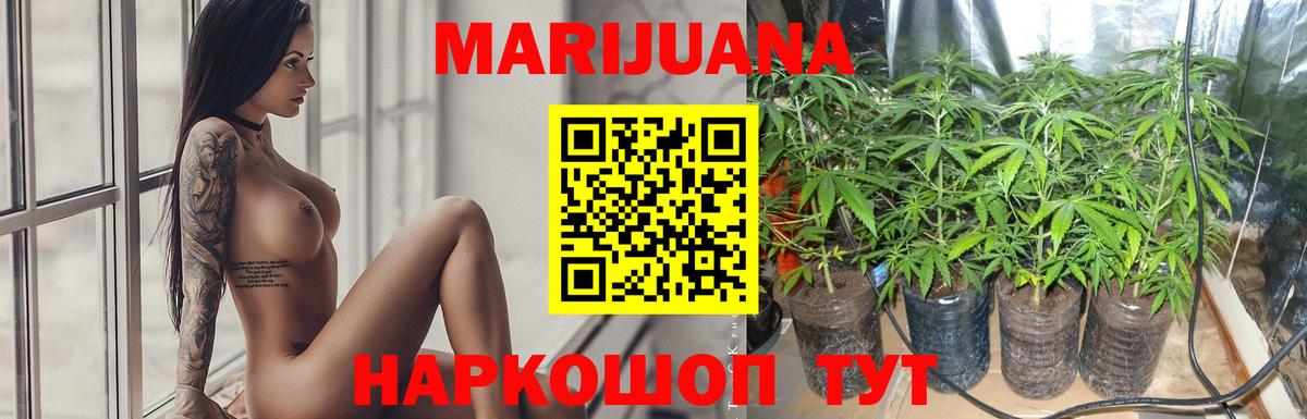 Бошки марихуана Amnesia Великие Луки